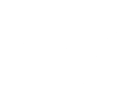 USA Allegiance